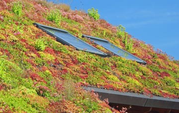 Northrepps living roof systems