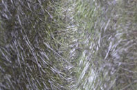 Northrepps fibreglass roof work